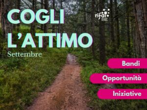 opportunità di ottobre