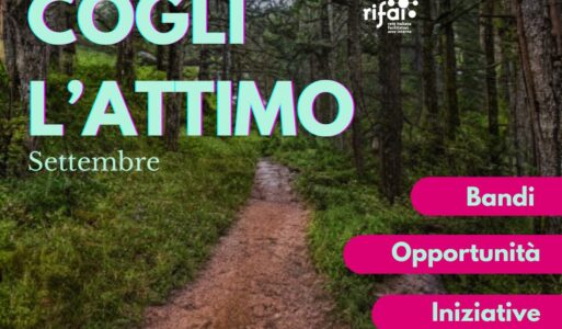 Cogli l’attimo! Bandi,  opportunità e iniziative di settembre