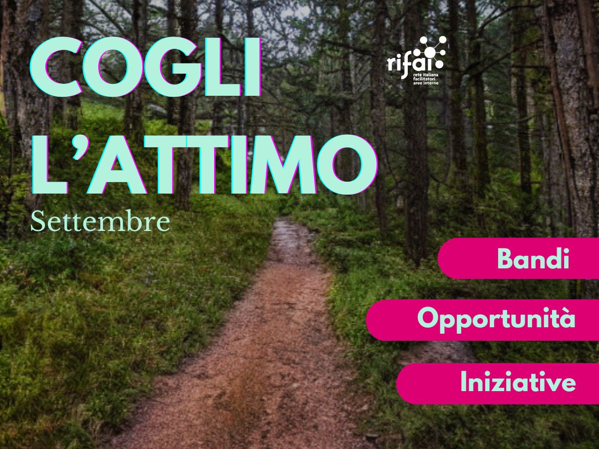 Cogli l’attimo! Bandi,  opportunità e iniziative di settembre