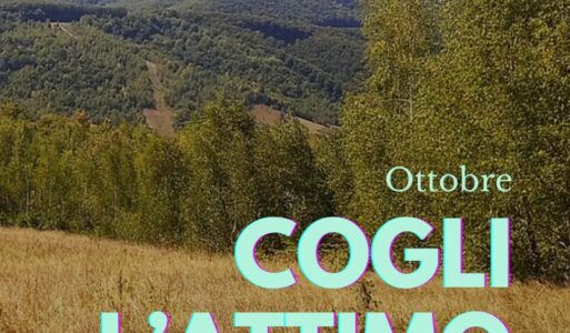 Cogli l’attimo! Bandi,  opportunità e iniziative di ottobre