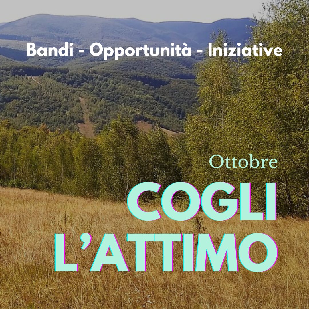 Cogli l’attimo! Bandi,  opportunità e iniziative di ottobre